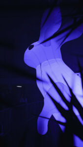 2-DSC03762