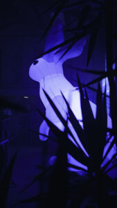 3-DSC03763